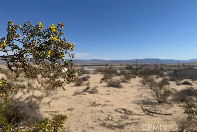 73735 Manana Drive, Twentynine Palms, CA 92277 - #2