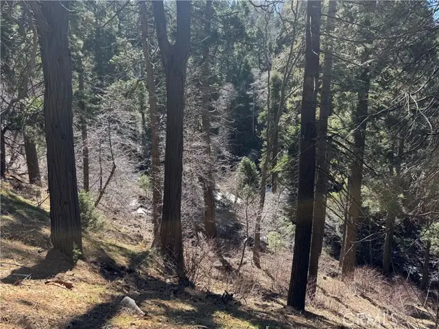 0 Sunderland Court, Lake Arrowhead, CA 92352 - #1