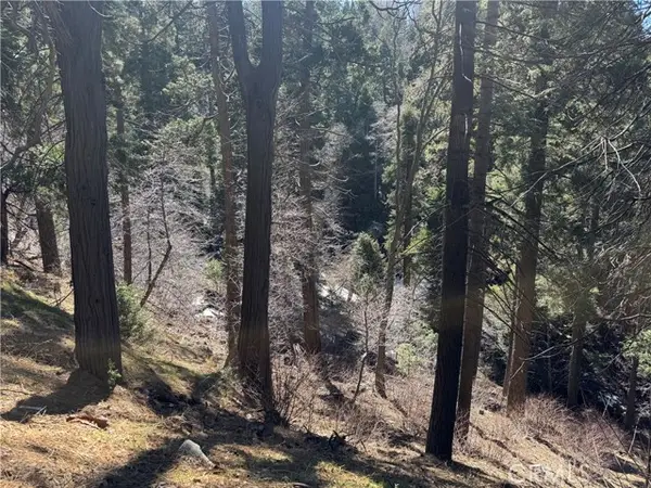 0 Sunderland Court, Lake Arrowhead, CA 92352