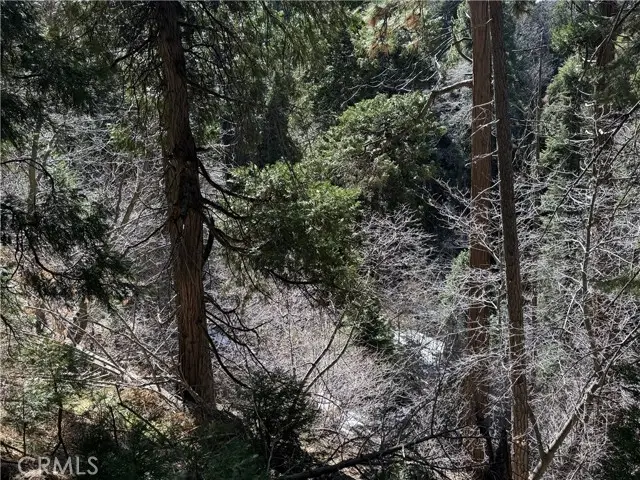 0 Sunderland Court, Lake Arrowhead, CA 92352 - #2