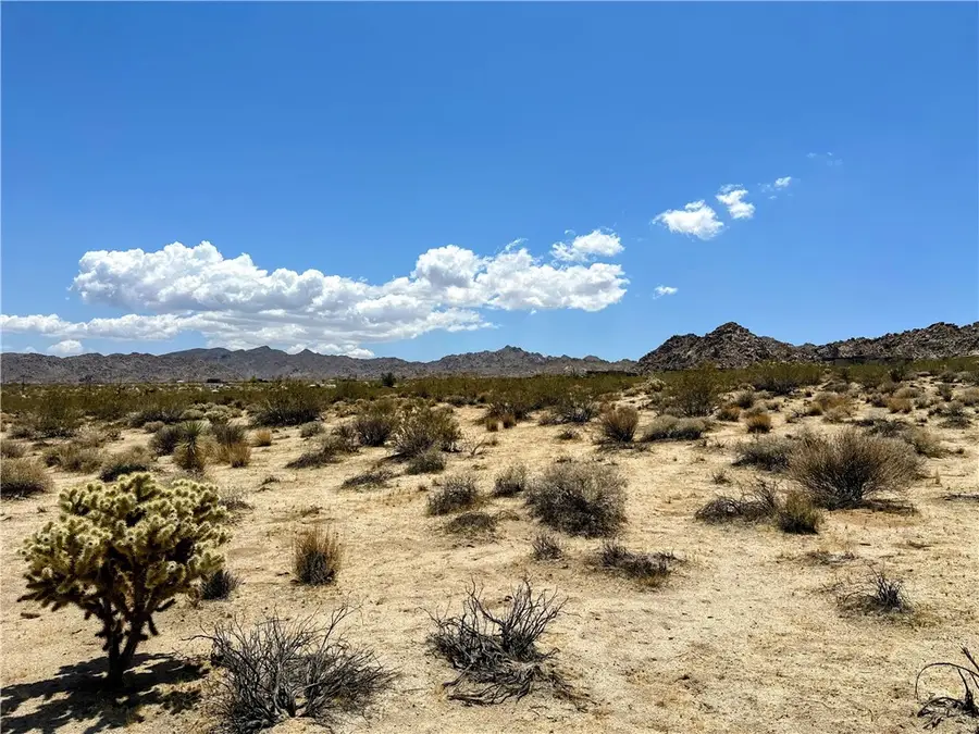 64100 Sullivan Road, Joshua Tree, CA 92252 - #2