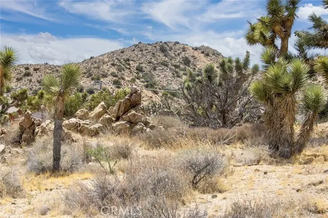 8385 Elk Court, Yucca Valley, CA 92284 - #2