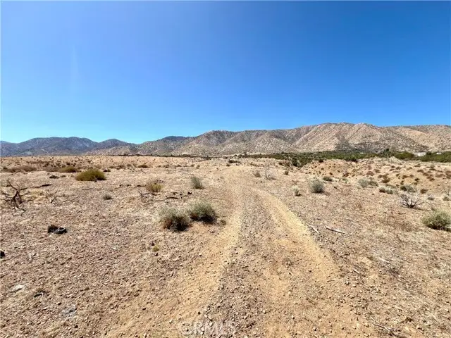 113 Juniper Mesa Road, Pearblossom, CA 93543 - #3