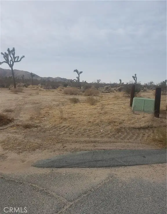 29 Palms, Joshua Tree, CA 92252