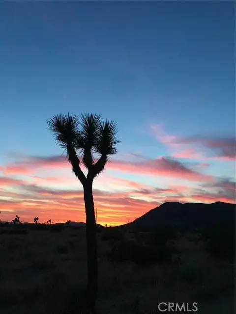 59990 Mitch Lane, Landers, CA 92285 - Image #1