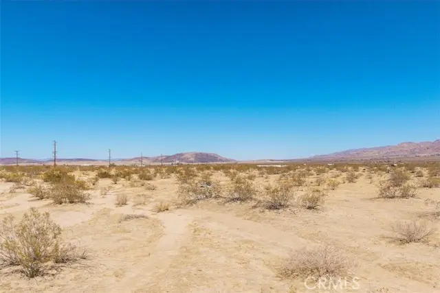 5888 La Ferney Avenue, Joshua Tree, CA 92252 - Image #2
