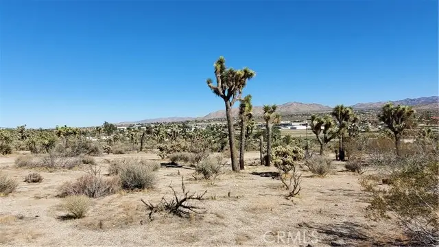 12345 Yucca Vista Avenue, Yucca Valley, CA 92284 - Image #1