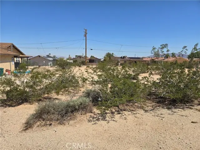 1235 Daisy Avenue, Twentynine Palms, CA 92277 - #2