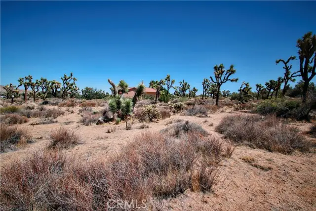 7777 Onaga Trail, Yucca Valley, CA 92284 - #3