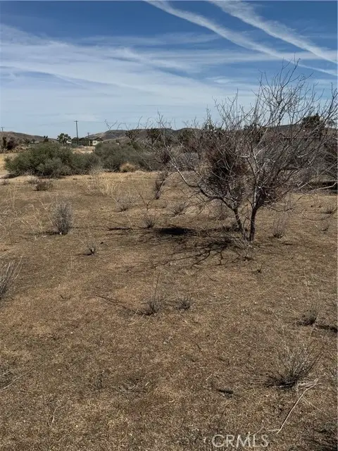 0 Minna Gombell, Pioneertown, CA 92268 - Image #2