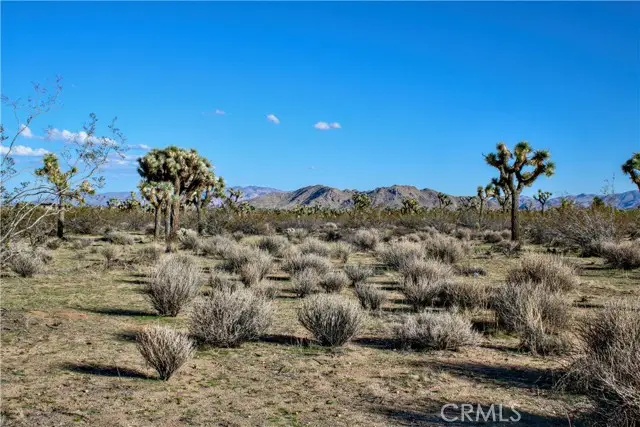 11 El Dorado Avenue, Yucca Valley, CA 92284 - Image #2
