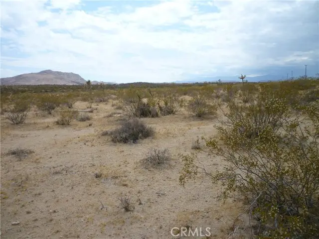 2345 Sunny Sands Drive, Joshua Tree, CA 92252 - Image #1