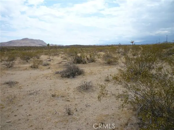 2345 Sunny Sands Drive, Joshua Tree, CA 92252