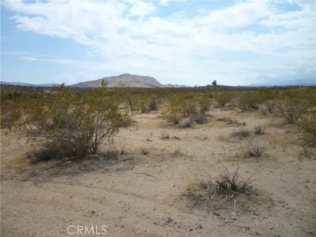 2345 Sunny Sands Drive, Joshua Tree, CA 92252 - Image #2