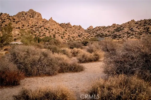 53655 Annie Oakley Road, Pioneertown, CA 92268 - Image #3