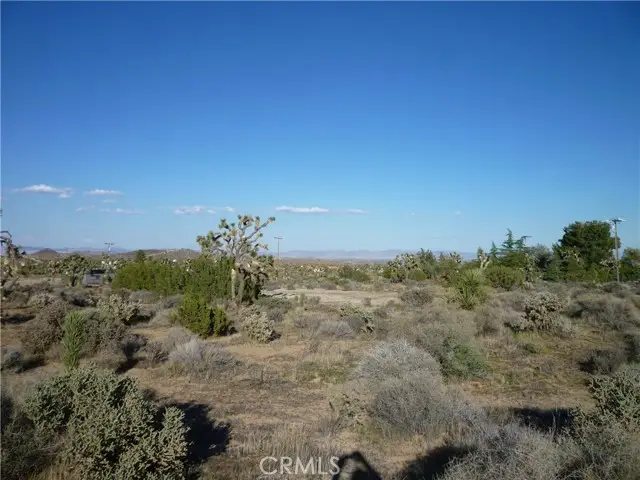 1234 Canton Street, Yucca Valley, CA 92284 - #2