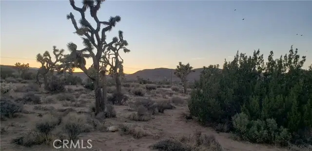 1234 Canton Street, Yucca Valley, CA 92284 - #3