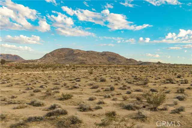 56220 University Boulevard, Landers, CA 92285 - #1