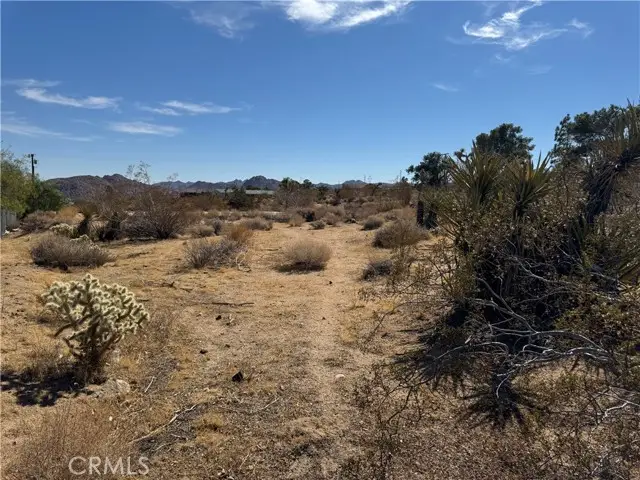 7217 Sunny Vista Road, Joshua Tree, CA 92252 - #3