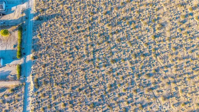 6667 Peterson Road, Twentynine Palms, CA 92277 - #3