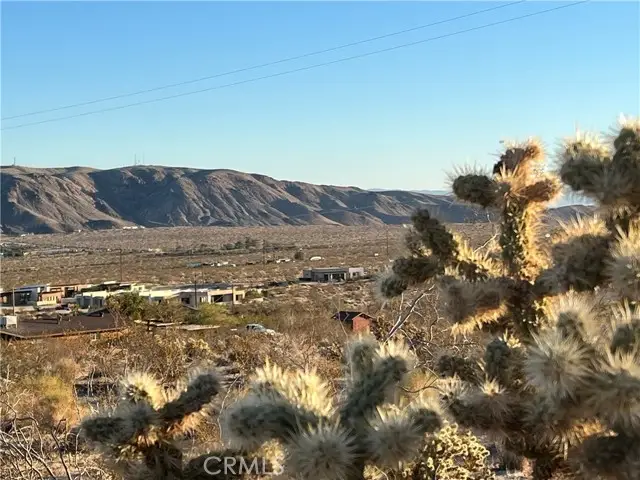 7084 Mount Shasta Avenue, Joshua Tree, CA 92252 - Image #1