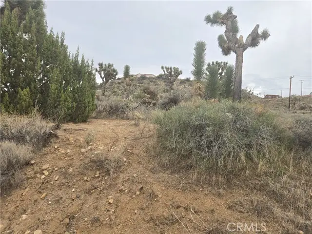 54763 Twentynine Palms Highway, Yucca Valley, CA 92284 - Image #2