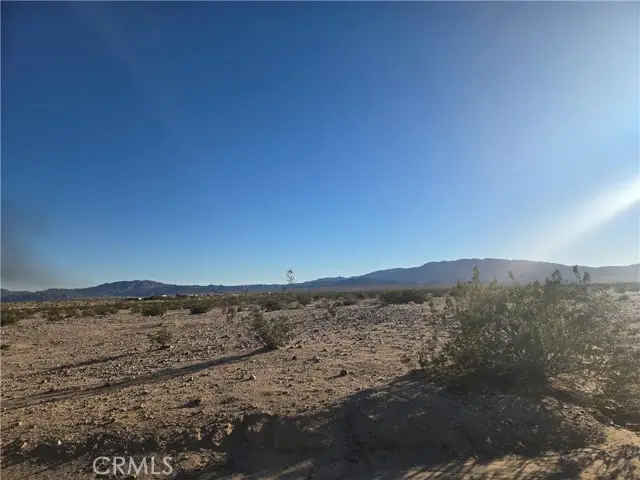 1234 Amboy Road, Twentynine Palms, CA 92277 - #2