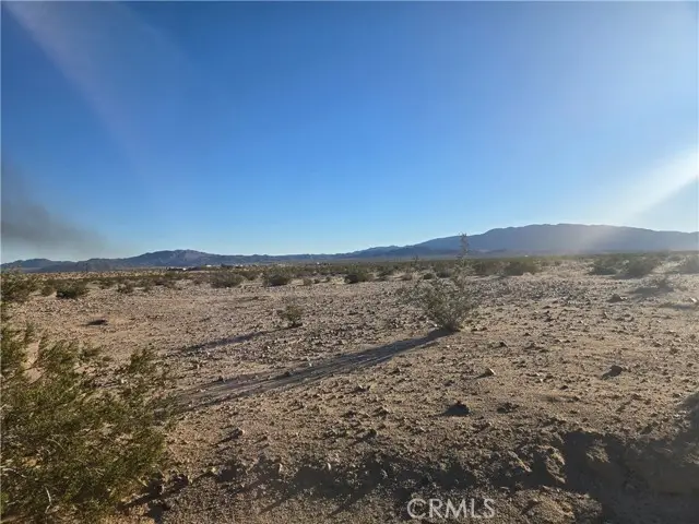 1234 Amboy Road, Twentynine Palms, CA 92277 - #3