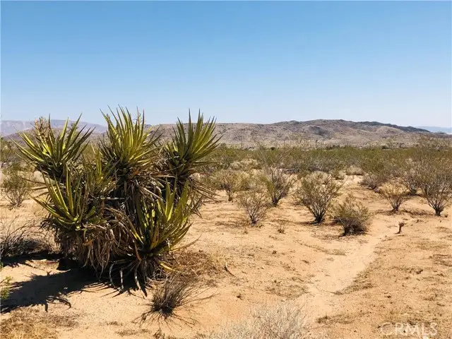 2 Geronimo Trail, Landers, CA 92285 - #1