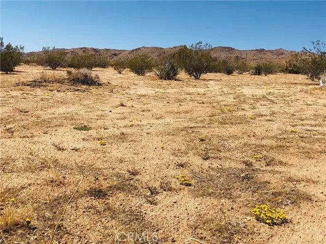 2 Geronimo Trail, Landers, CA 92285 - #3