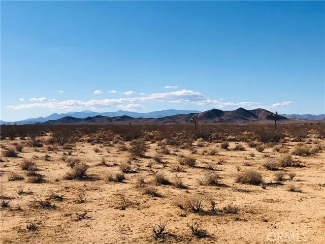 2 Venus Street, Joshua Tree, CA 92252 - #2