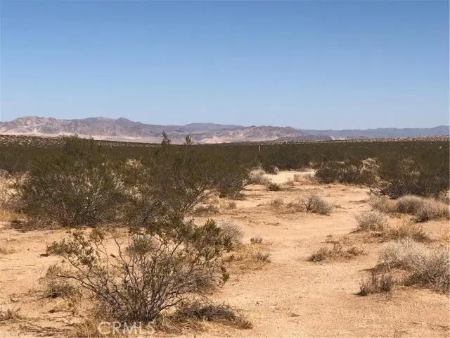 0 Near Daisy Lane, Joshua Tree, CA 92252 - #1