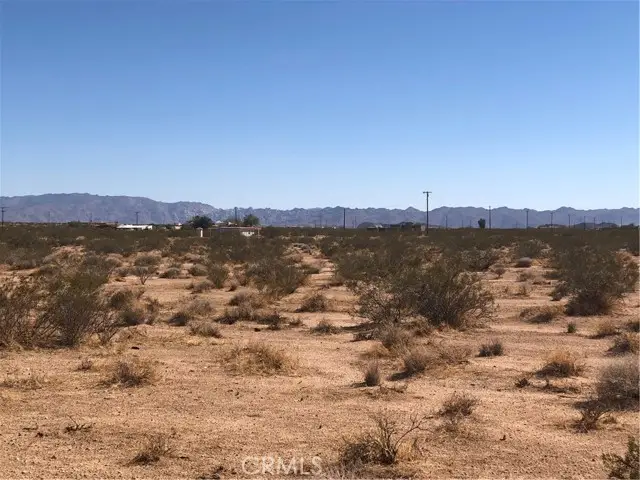 0 Near Daisy Lane, Joshua Tree, CA 92252 - #2