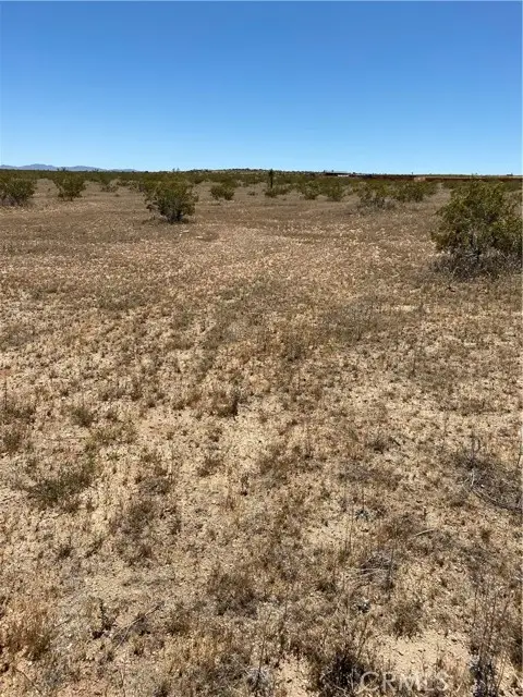 900 Fetlock, Landers, CA 92285 - #2