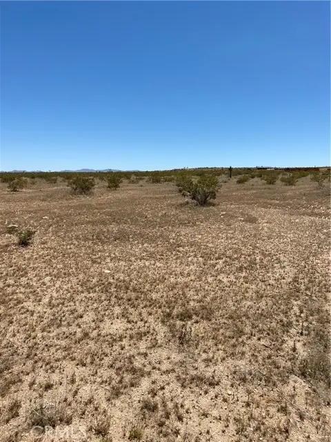 900 Fetlock, Landers, CA 92285 - #3