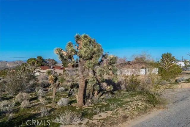 60432 Latham Trail, Joshua Tree, CA 92252 - #1