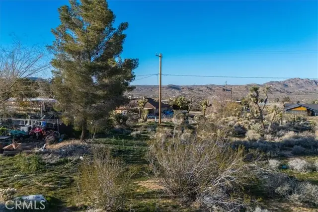 60432 Latham Trail, Joshua Tree, CA 92252 - #3