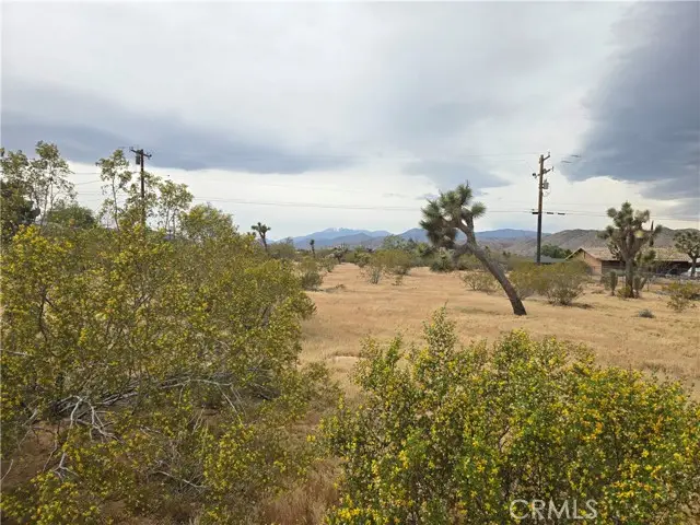 7414 Alaba Avenue, Yucca Valley, CA 92284 - #3