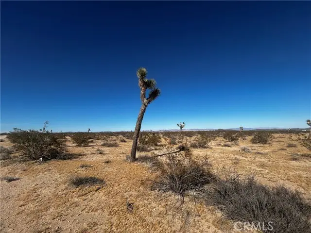 0 Celesta, Joshua Tree, CA 92252 - #1