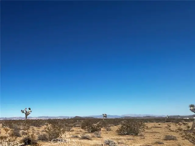 0 Celesta, Joshua Tree, CA 92252 - #3