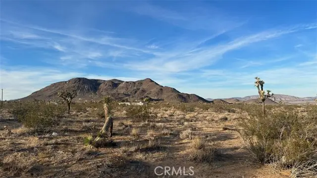 59775 Bearing Tree Road, Landers, CA 92285 - #2