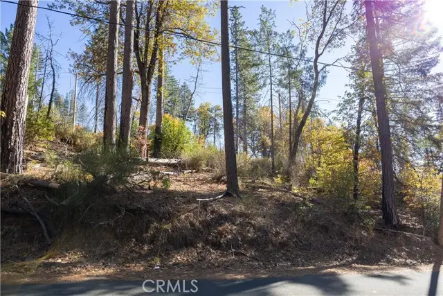 10991 Gifford Springs Road, Cobb, CA 95426 - #1