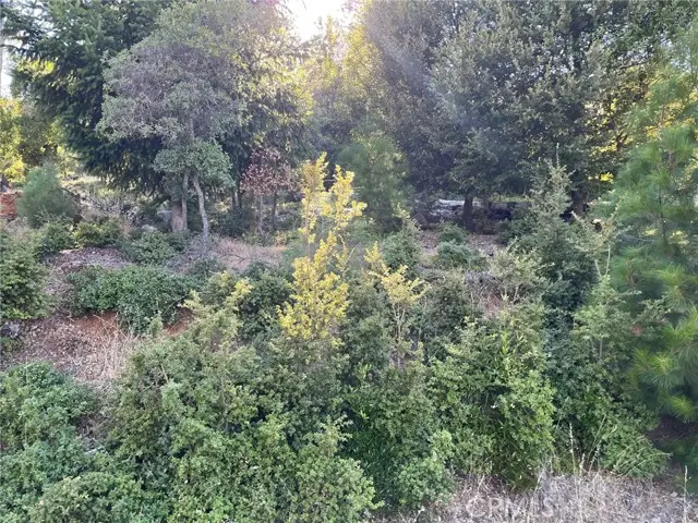 3607 Pine Terrace Drive, Kelseyville, CA 95451 - Image #2