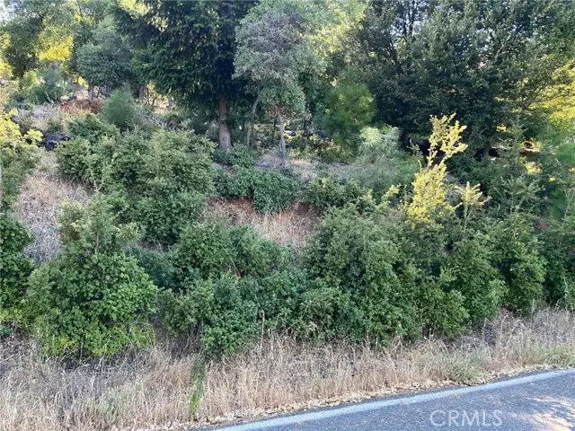 3607 Pine Terrace Drive, Kelseyville, CA 95451 - Image #3