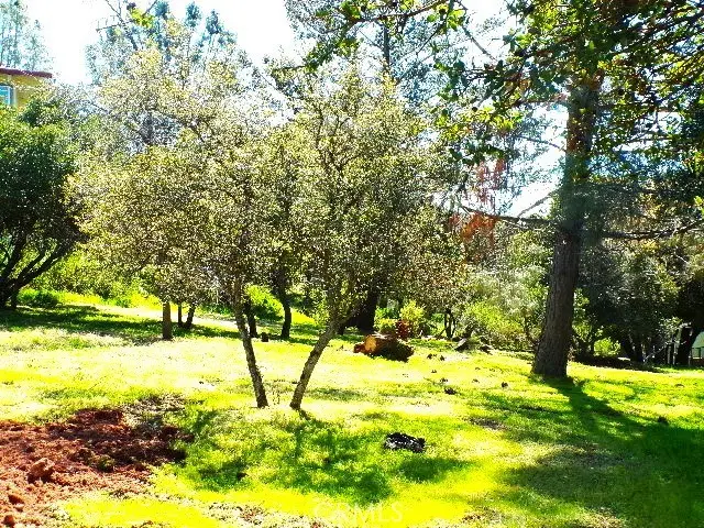 11083 Wheeler, Kelseyville, CA 95451 - Image #3