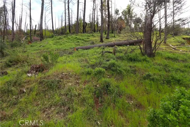 11541 Anderson Springs Road, Middletown, CA 95461 - #1