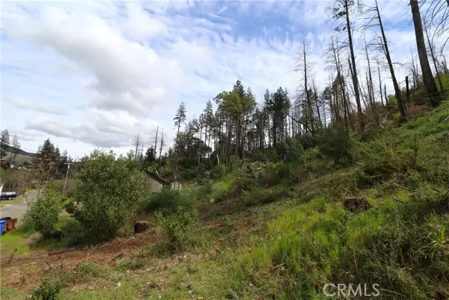 11541 Anderson Springs Road, Middletown, CA 95461 - #2