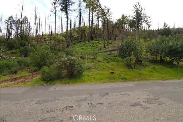 11541 Anderson Springs Road, Middletown, CA 95461 - #3