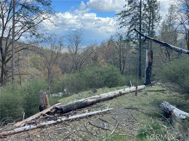 11260 Loch Lomond Road, Lake, CA 95426 - Image #3