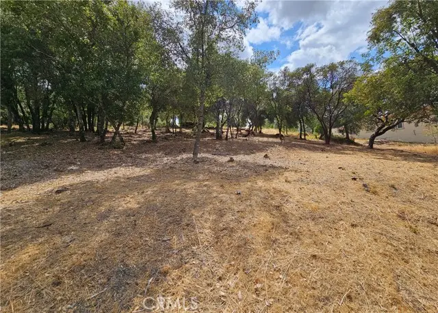 9599 Timberline Court, Kelseyville, CA 95451 - Image #2